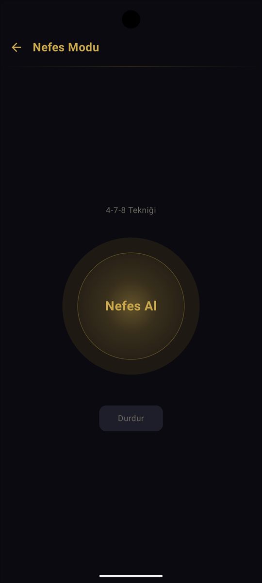 Nefes modu